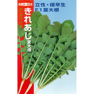 t卪  y ꂠ z 2dl ( t卪̎ )