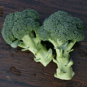 ubR[  y b z R[g5痱 ( ubR[̎ )