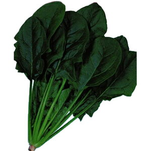 zE\E  y n^[ z ܁i32mlj ( zE\E̎ )