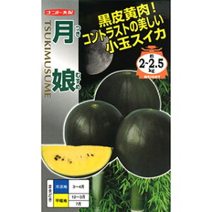 XCJ  y i物ʁj z (7) ( XCJ̎ )