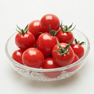 ~jg}g  y r[bV z ܁i13j ( ~jg}g̎ )