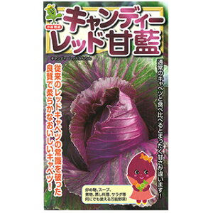 Lxc  y LfB[bh z ܁i10mlj ( Lxc̎ )