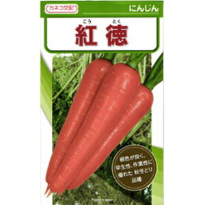 jW  y g z 2dl ( jW̎ )