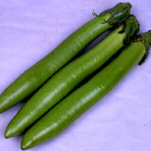 iX  y  z 2000 ( iX̎ )