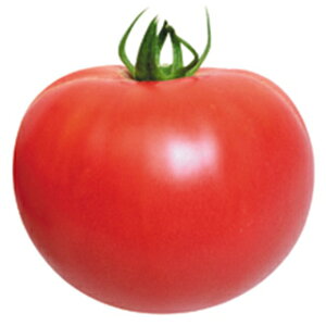 g}g  y ؔ z ܁i14j ( g}g̎ )