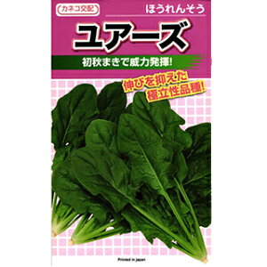 zE\E  y A[Y z M3 ( zE\E̎ )