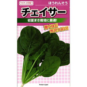 zE\E  y `FCT[ z M3 ( zE\E̎ )