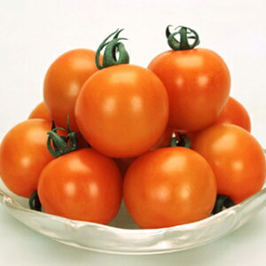 g}g  y IWI[ z ܁i14j ( g}g̎ )