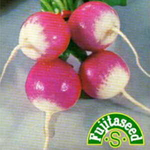 _CR  y gۓ\卪@Rr z  ( _CR̎ )