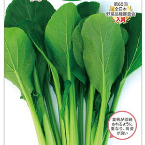 R}ci  y t̃Zoc z 2dl ( R}ci̎ )