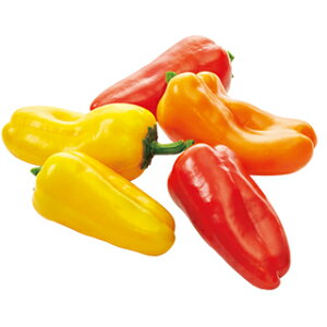 s[}  y ςՊہ@IW z (100) ( s[}̎ )