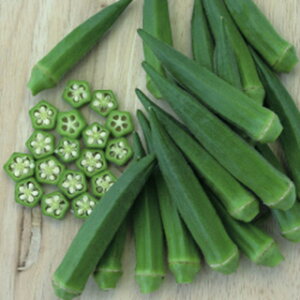 IN  y O[WG[ z 1000 ( IN̎ )