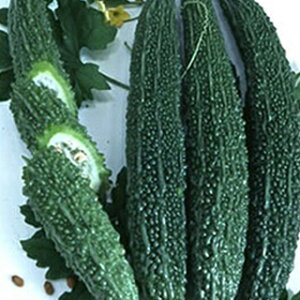 O[CV  y uh z (100) ( O[CV̎ )