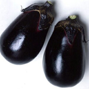 iX  y ̏ z 2000 ( iX̎ )