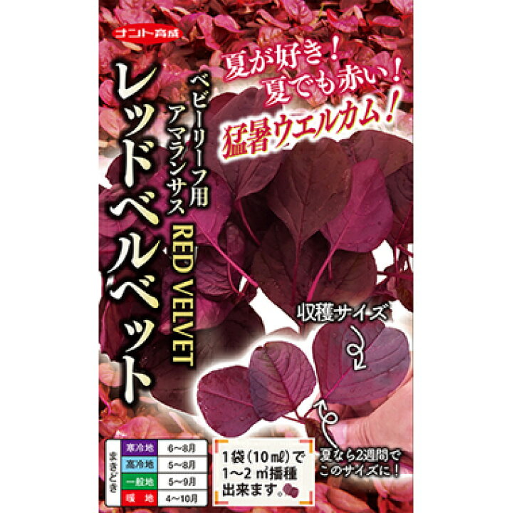 楽天市場 アマランサス 種 レッドベルベット 10ml アマランサスの種 菜園くらぶ 家庭菜園の専門店