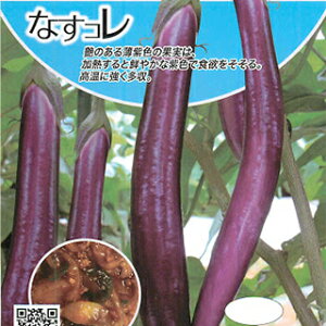 �i�X �� �y �i�X�u�߂đ�p �z 100�� ( �i�X�̎� )