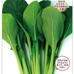 R}ci  y t̃Zoc z ܁i10mlj ( R}ci̎ )