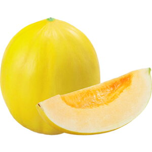   y S[feCXg z ܁i7j ( ̎ )