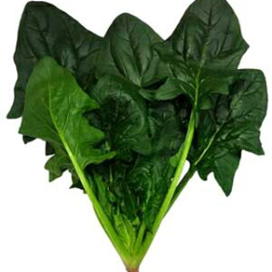 zE\E  y WI z M3 ( zE\E̎ )