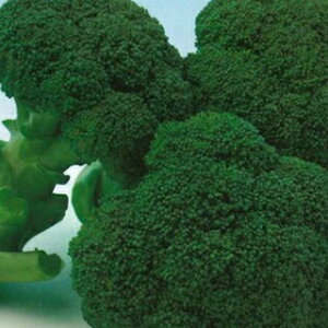 ubR[  y  z 2000 ( ubR[̎ )