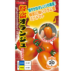 g}g  y IWF z ܁i7j ( g}g̎ )