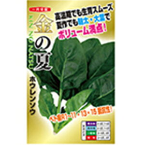 zE\E  y ̉ z  ( zE\E̎ )