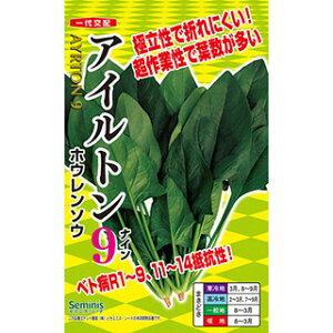 zE\E  y ACg9 z  ( zE\E̎ )