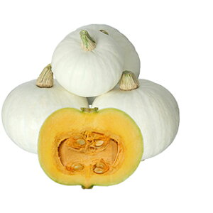 �J�{�`�� �� �y ����܂납�ڂ��� �z ����(10��) ( �J�{�`���̎� )