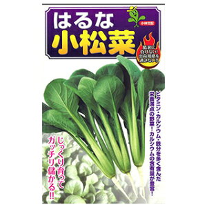コマツナ 種 【 はるな小松菜 】 小袋 ( コマツナの種 )