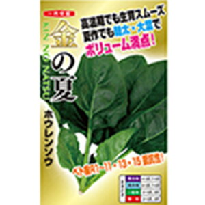 zE\E  y ̉ z 1dl ( zE\E̎ )