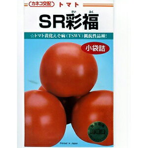 g}g  y SRʕ z ܁i13j ( g}g̎ )