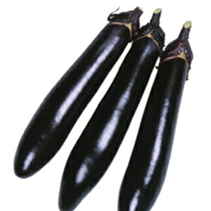 iX  y  z ܁i50j ( iX̎ )