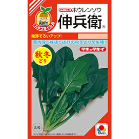 ほうれん草 種 【 伸兵衛 】 小袋(RF 40ml) ( ほうれん草の種 )