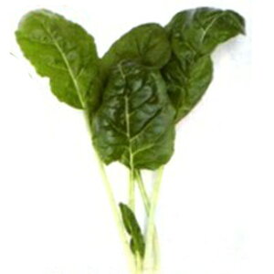 XCX`[h  y rGgErAR z 痱 ( XCX`[h̎ )