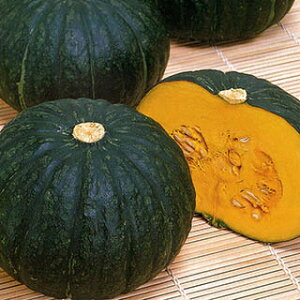 �J�{�`�� �� �y �����w�� �z 500�� ( �J�{�`���̎� )