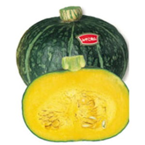 �J�{�`�� �� �y �݂₱ �z 100�� ( �J�{�`���̎� )