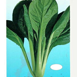 R}ci  y H~̃G[X z ܁i10mlj ( R}ci̎ )