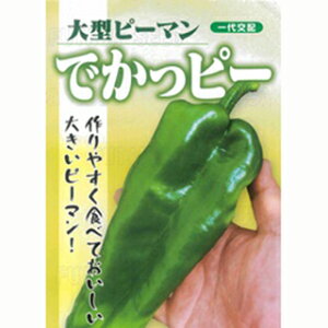 s[}  y łs[ z ܁i0D2mlj ( s[}̎ )