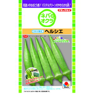 �I�N�� �� �y �w���V�G �z ����(PF 90��) ( �I�N���̎� )