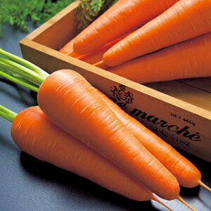 jW  y ނ z ybg1 ( jW̎ )