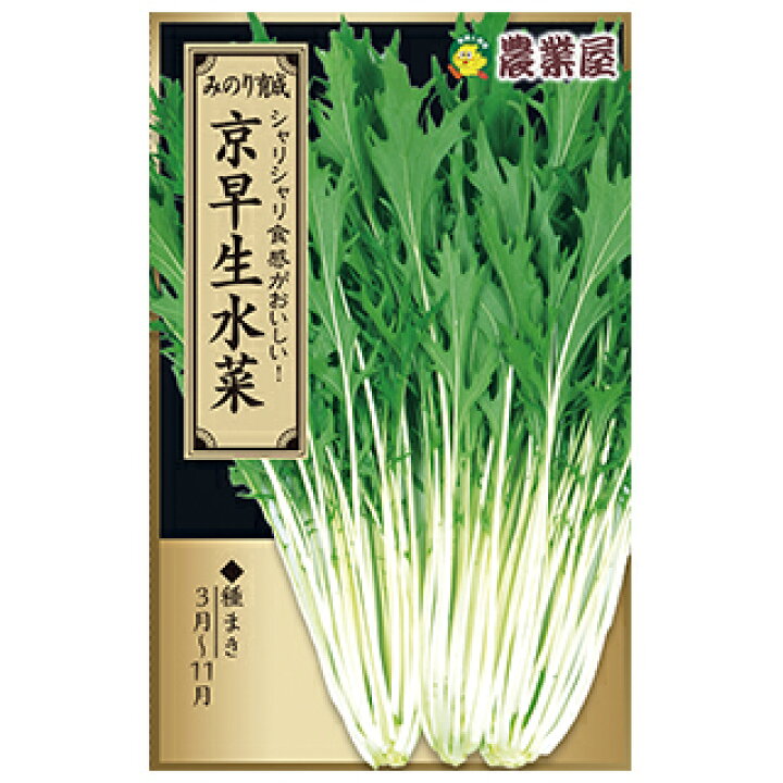 逮捕傘銀河早生水菜ビリー基本的な結果