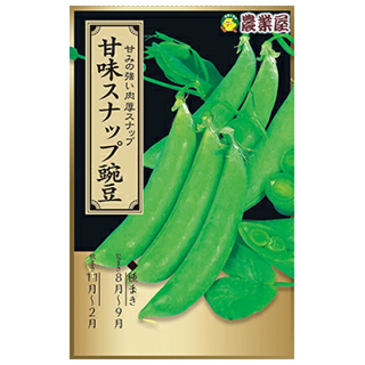楽天市場 スナップエンドウ 種 甘味スナップ ml 約50粒 スナップエンドウの種 菜園くらぶ 家庭菜園の専門店