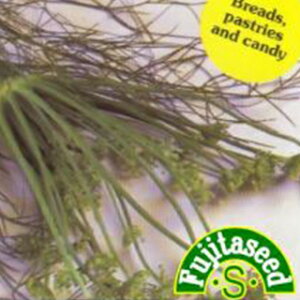 n[u  y AjX z  ( n[u̎ )