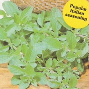 n[u  y IKm z  ( n[u̎ )