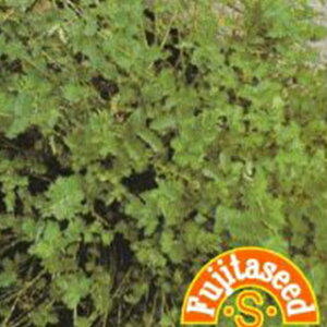 n[u  y T_o[lbg z  ( n[u̎ )