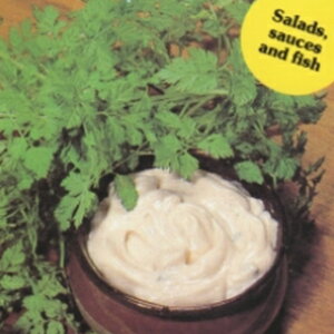 n[u  y `[r z  ( n[u̎ ) icqj