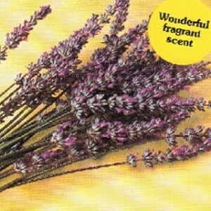 n[u  y x_[ig[j z  ( n[u̎ ) icqj