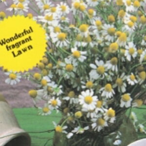 n[u  y [}J~[ z  ( n[u̎ ) icqj