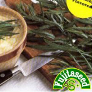 n[u  y VA^S z  ( n[u̎ )