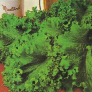 n[u  y }X^[h O[ z  ( n[u̎ )